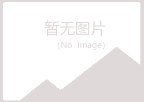 山西小夏化学有限公司